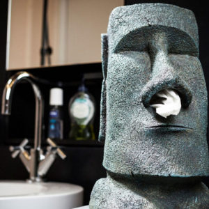Moai Tissue Holder