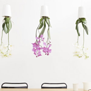 Sky Planter Recycled