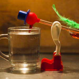 The Infamous Drinking Bird